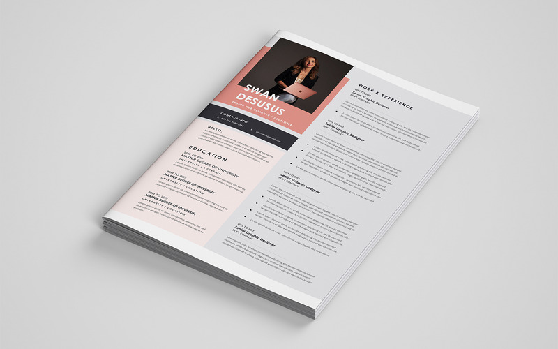 Swan United King Resume Template - Features Image 2