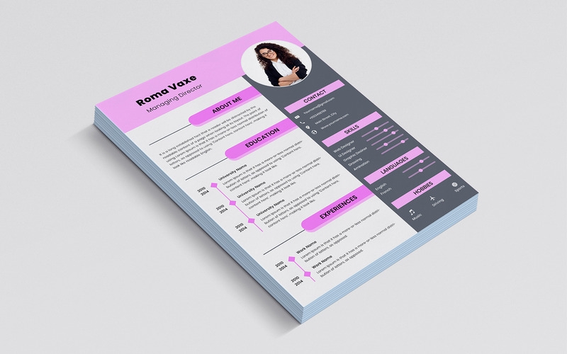 100% baanverzekering CV/CV-sjabloon - Features Image 1