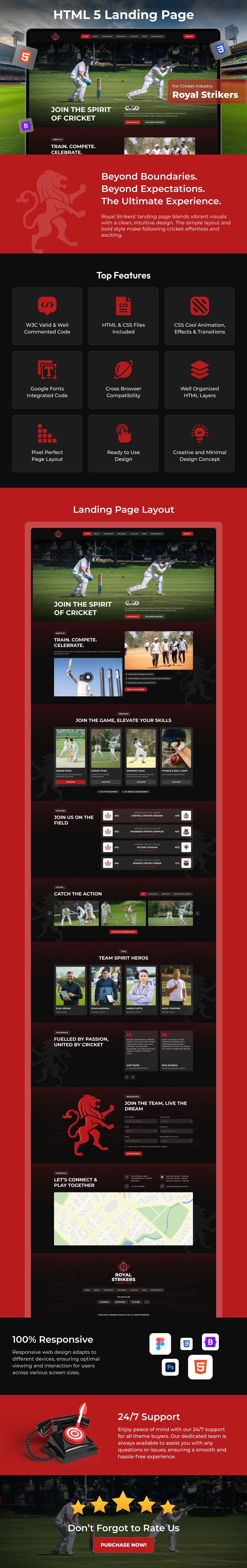 Royal Strikers – Cricket Club Bootstrap HTML5 Landingpage - Eigenschaften Bild 1