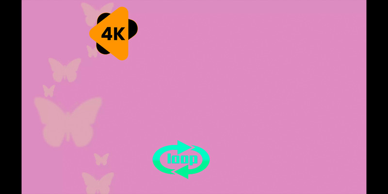 Sfondo animato con farfalle, 4k, in loop - Caratteristiche Immagine 1