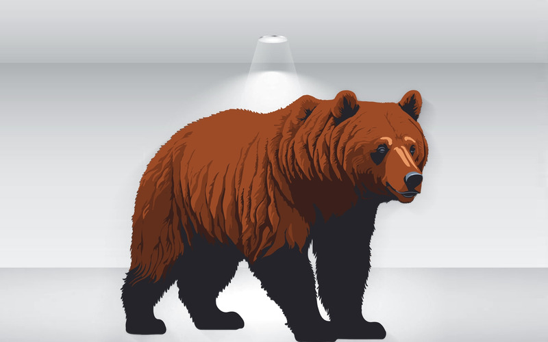 Vector De Ilustración De Oso Pardo Detallado - Características Imagen 1