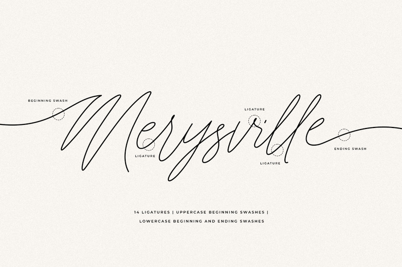 Merysville Signature Font With Tails - Features Image 1