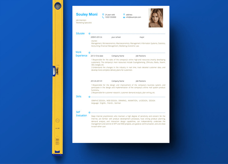 The CV -Souley Moni CV - Printable Resume Templates in Multiple Styles - Features Image 2
