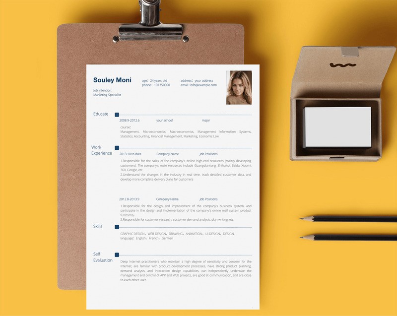The CV -Souley Moni CV - Printable Resume Templates in Multiple Styles - Features Image 3