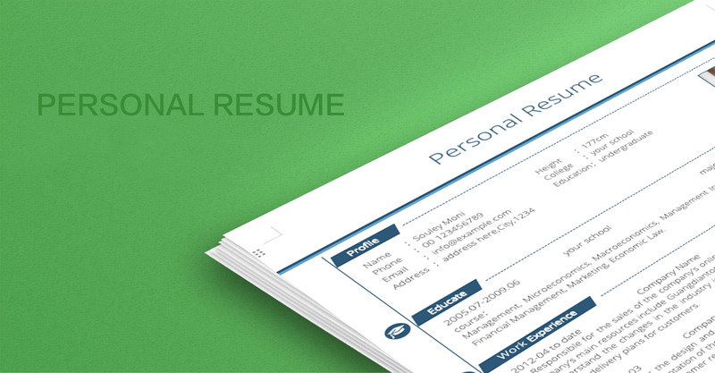 Der Lebenslauf - Souley Moni Lebenslauf - Druckbare kreative Lebenslaufvorlage - Eigenschaften Bild 1