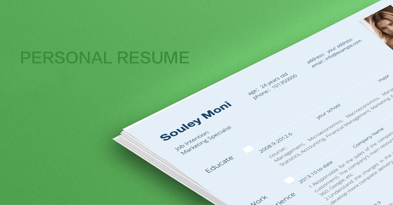 The CV -Souley Moni CV - Printable Resume Templates in Multiple Styles - Features Image 1