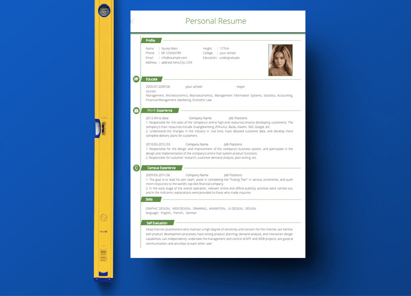 Der Lebenslauf - Souley Moni Lebenslauf - Druckbare kreative Lebenslaufvorlage - Eigenschaften Bild 2