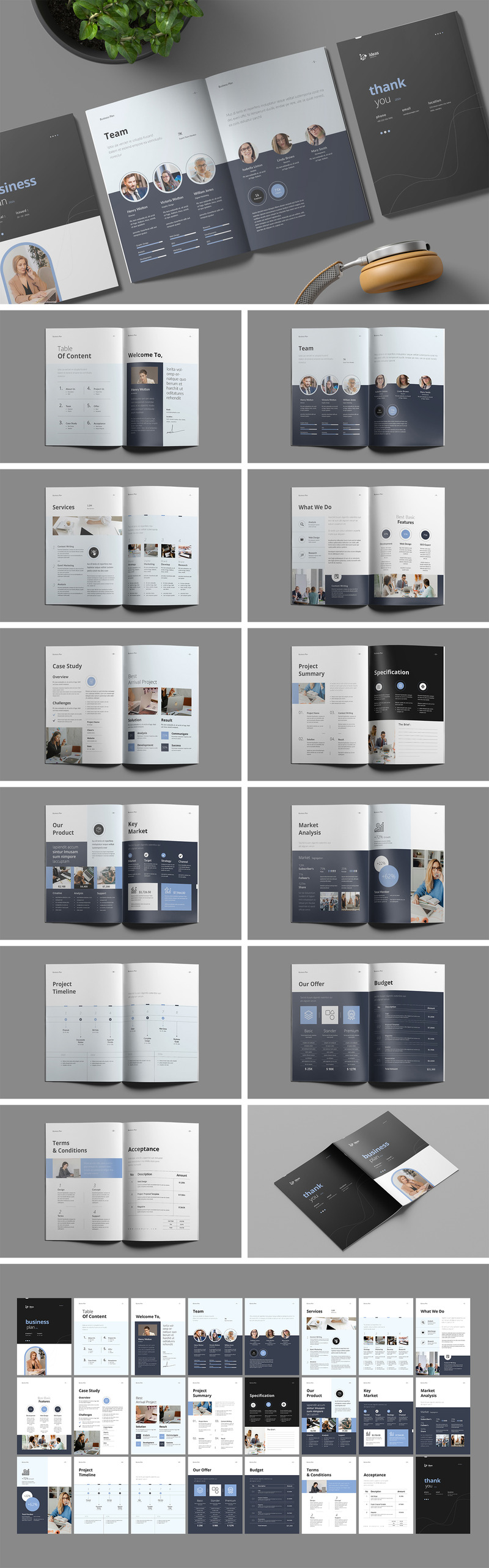 Business Plan Brochure Template (PSD) - Features Image 1