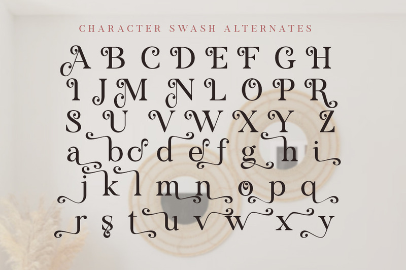 Voster Noise serif modern - Features Image 9
