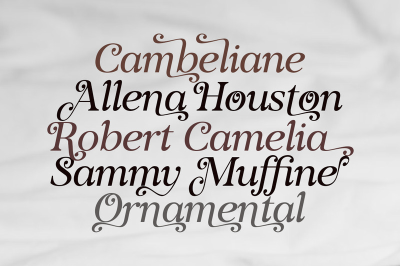 Voster Noise serif modern - Features Image 2