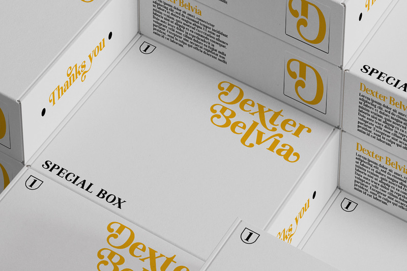 Visualizzazione dei caratteri serif Lebora - Caratteristiche Immagine 3