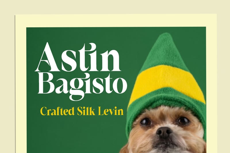 Display dei caratteri Riodis moderno - Caratteristiche Immagine 5