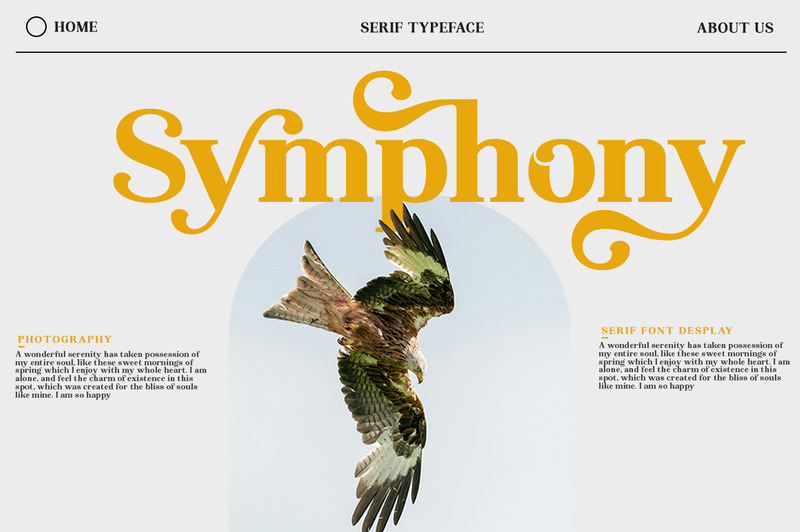 Visualizzazione dei caratteri serif Lebora - Caratteristiche Immagine 6