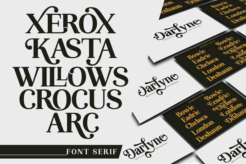 Visualizzazione dei caratteri serif Lebora - Caratteristiche Immagine 8