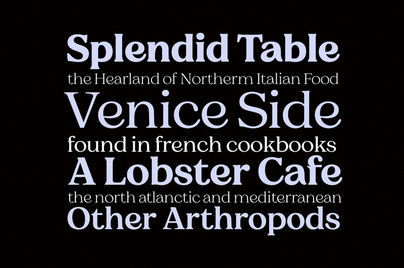 Carattere moderno Charman Serif - Caratteristiche Immagine 1