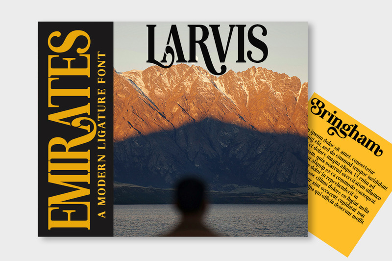 Visualizzazione dei caratteri serif Lebora - Caratteristiche Immagine 1