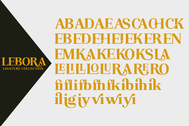 Visualizzazione dei caratteri serif Lebora - Caratteristiche Immagine 5