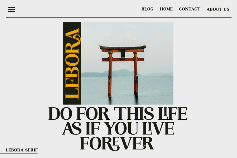 Visualizzazione dei caratteri serif Lebora - Caratteristiche Immagine 9