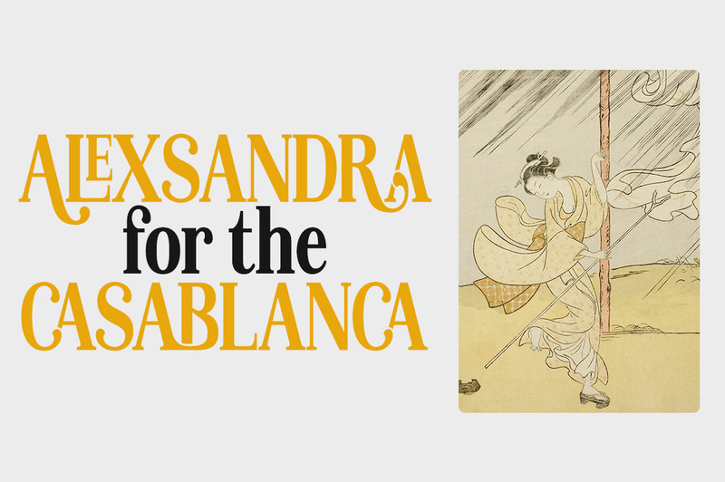 Visualizzazione dei caratteri serif Lebora - Caratteristiche Immagine 7