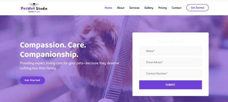 Petwell Studio – Pet Care Website Template - Features Image 1