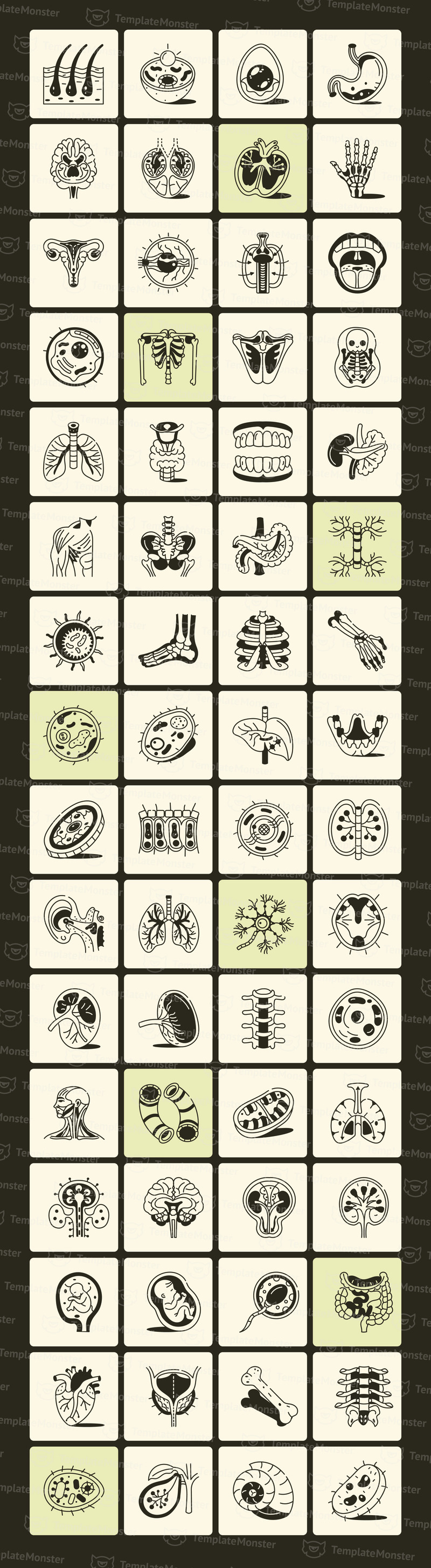 Anatomy Drawing Illustration Set - Features Image 1