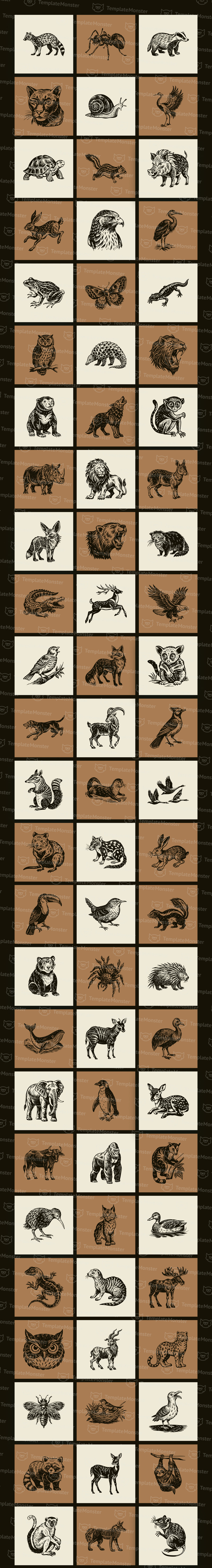 Modern Vintage Wildlife Art Set - Features Image 1
