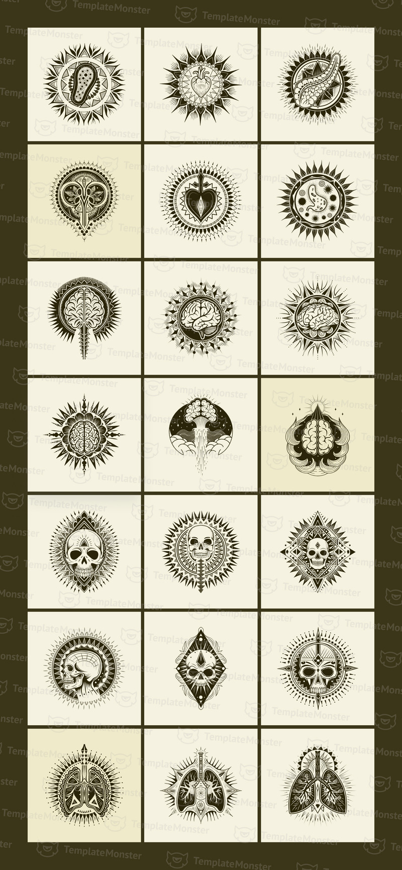 Anatomiska illustrationer uppsättning - Features Image 1