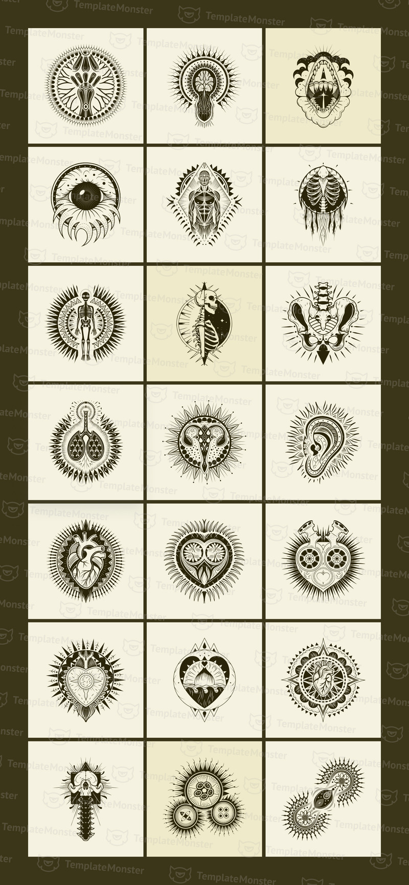 Anatomiska illustrationer uppsättning - Features Image 4