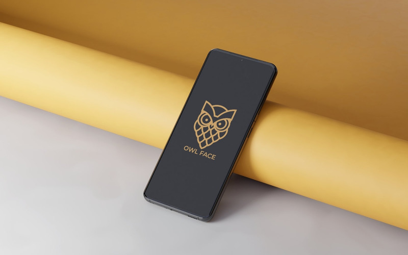 Owl face logo Template design - Features Image 1