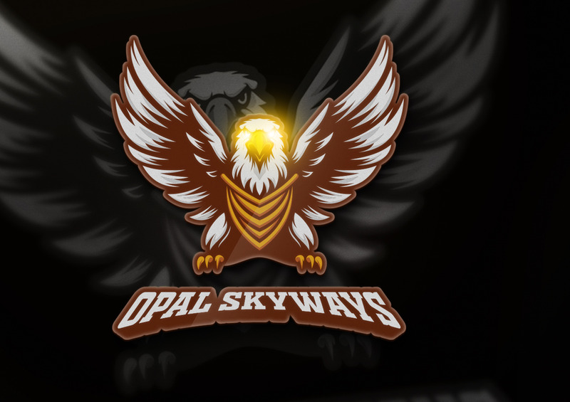 Modèle de conception de logo OPAL SKYWAYS - Caractéristiques de l’image 1