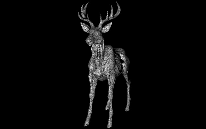 Whimsical Creatures Pack - Fantasy Animal Kingdom Vol. 1 3D-model - Features Image 9