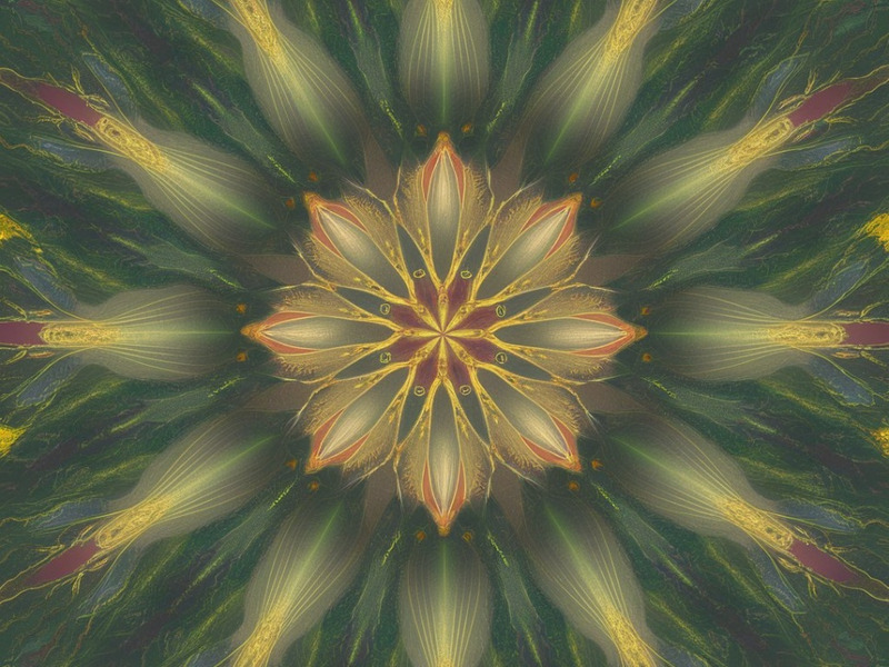 Kaleidoscope Mandala Harmony Collection - Features Image 19