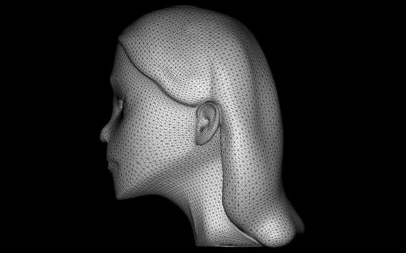 Modello 3D di busto viso stilizzato sereno - Caratteristiche Immagine 6