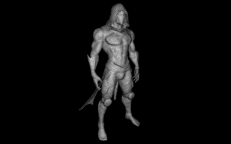 Modello di stampa 3D Cyber Hooded Stealth Warrior - Caratteristiche Immagine 2