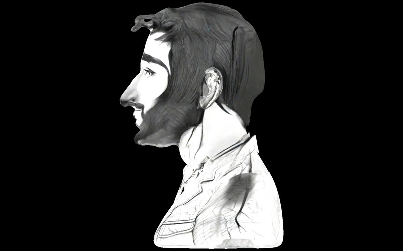 Wyrafinowany portret dżentelmena, model wydrukowany w 3D - Obraz funkcji 7