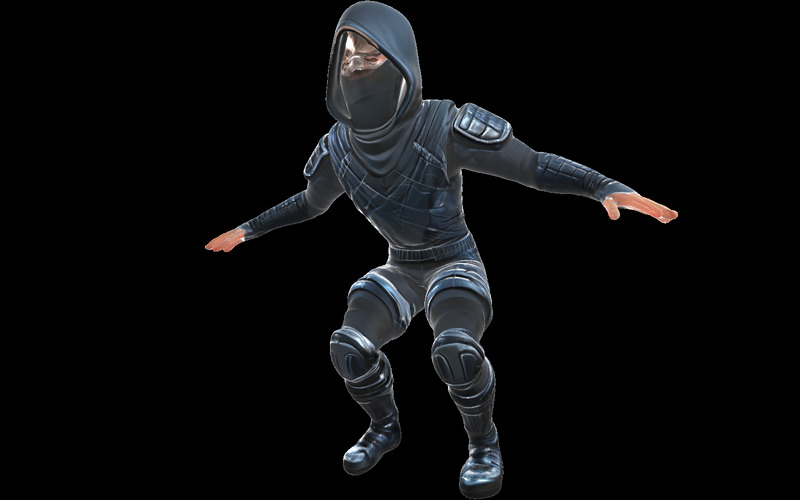 Figura de ação Ninja Stealth, modelo de impressão 3D grátis - Features Image 1