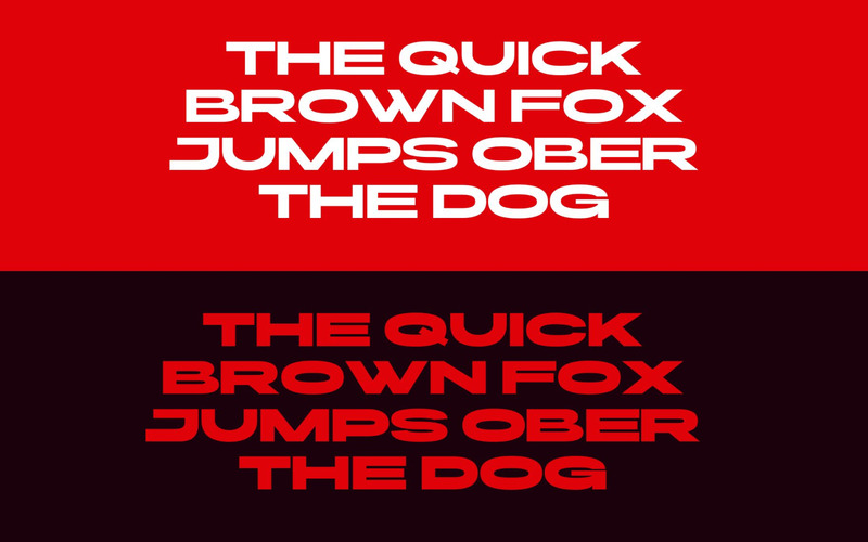 Bekor Condensed font family - Features Image 5