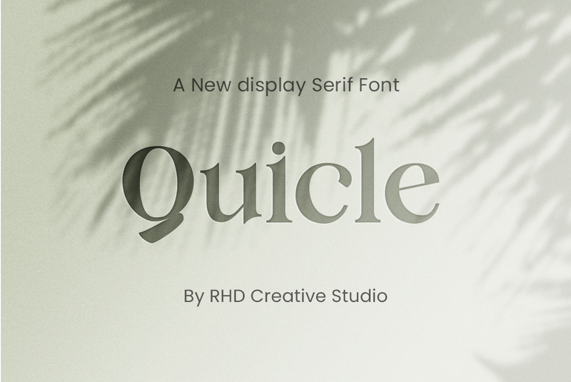 Czcionka Quicle New Display Serif - Obraz funkcji 1