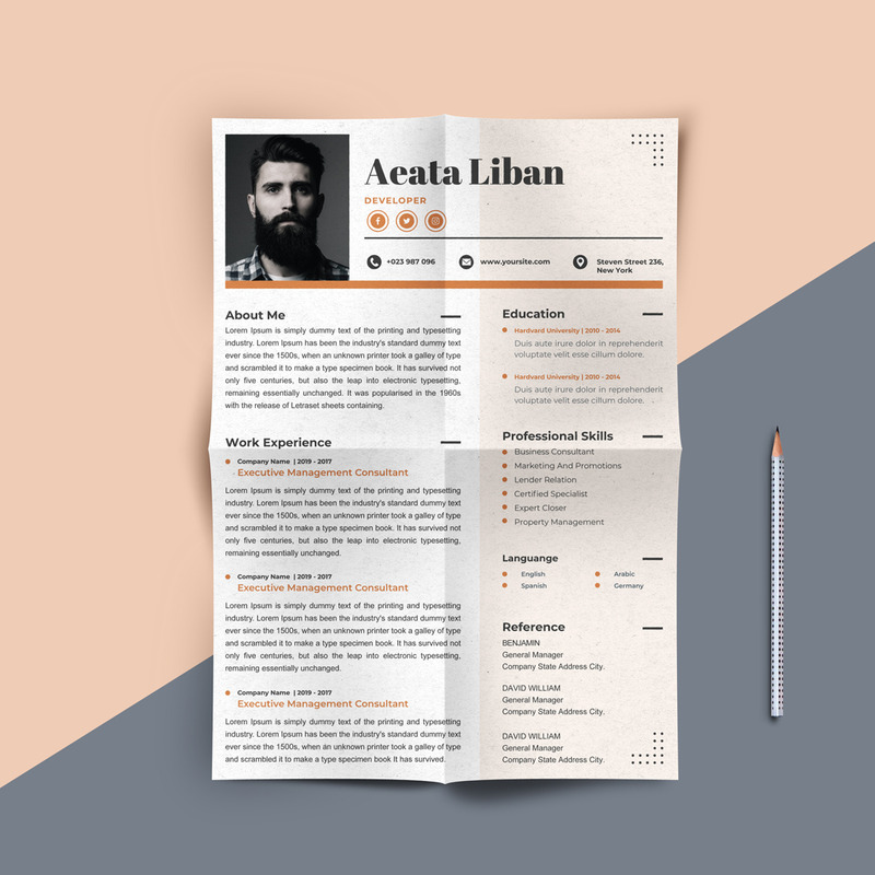 Aeata Liban - Web Developer Printable Resume Templates - Features Image 1