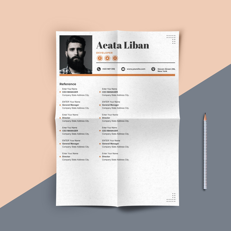 Aeata Liban - Web Developer Printable Resume Templates - Features Image 3