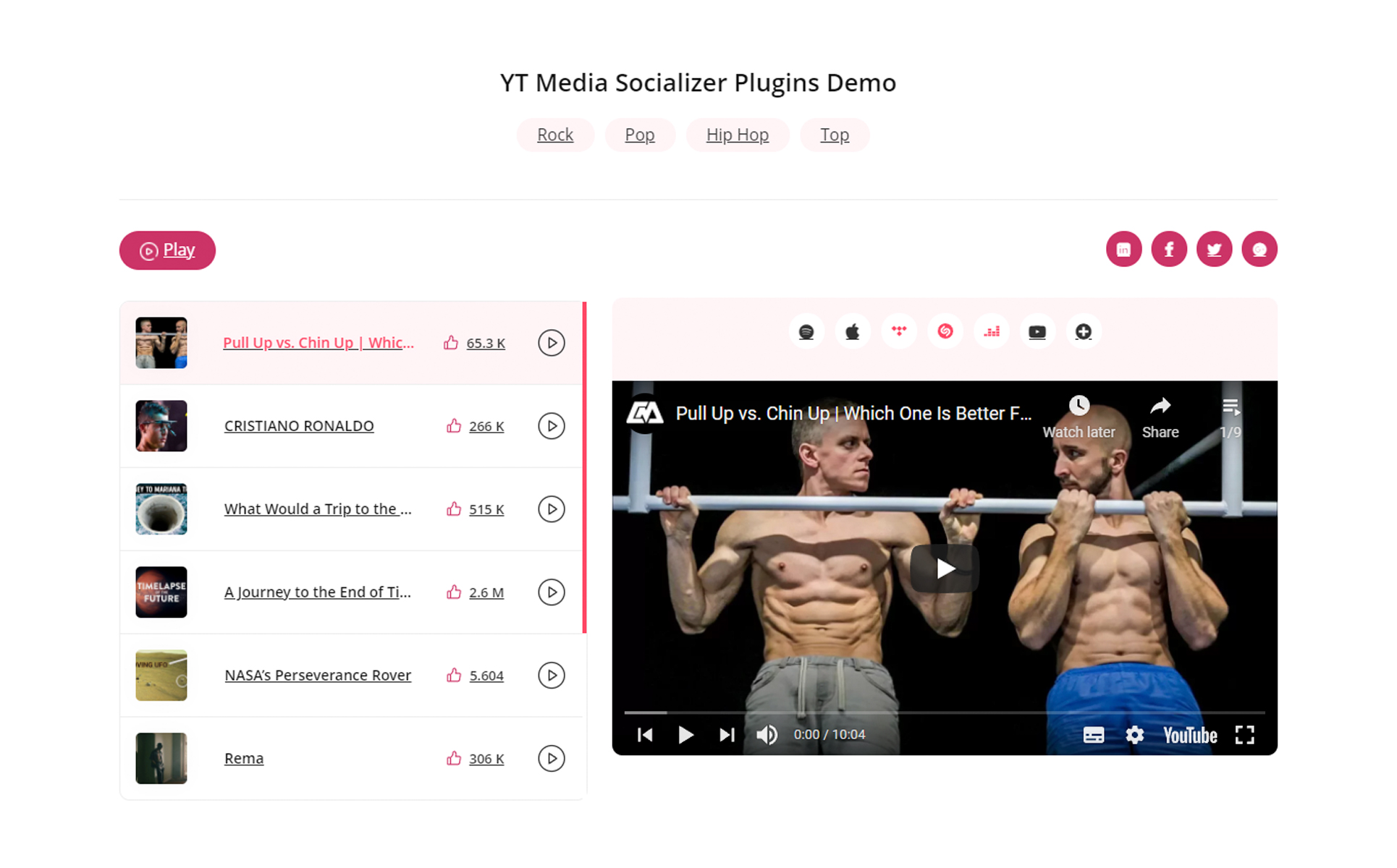 YT - Media Socializer WordPress Plugin