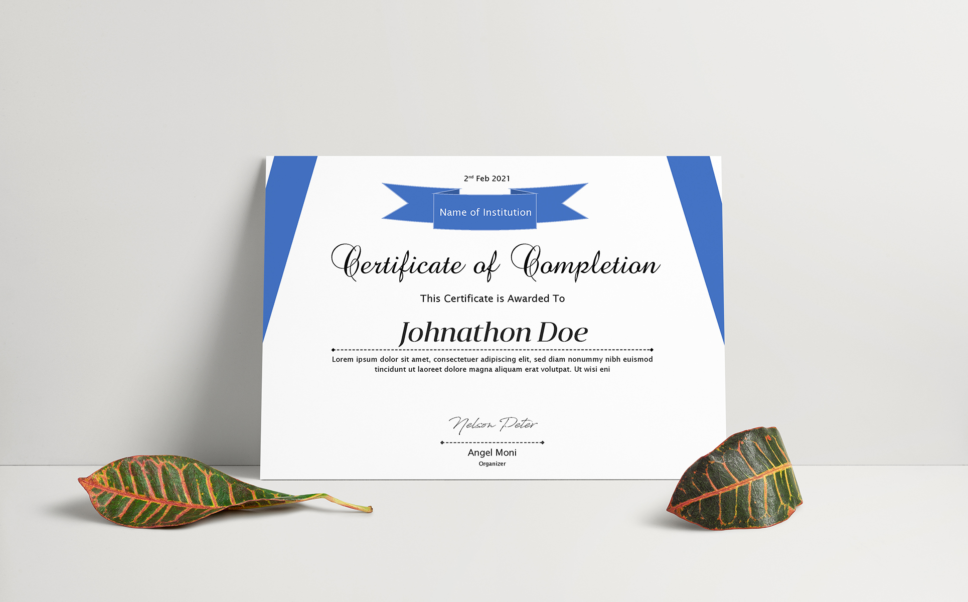 Download Шаблон сертификата "Nelson Peter Certificate Template" / Nelson Peter Certificate Template - Шаблон сертификата на тему графика achievement,acknowledgement,appraisal appreciation,award,certificate template,certificate word,certification,corporate,corporate certificate,rewards,ms word,diploma,employee,employee certific