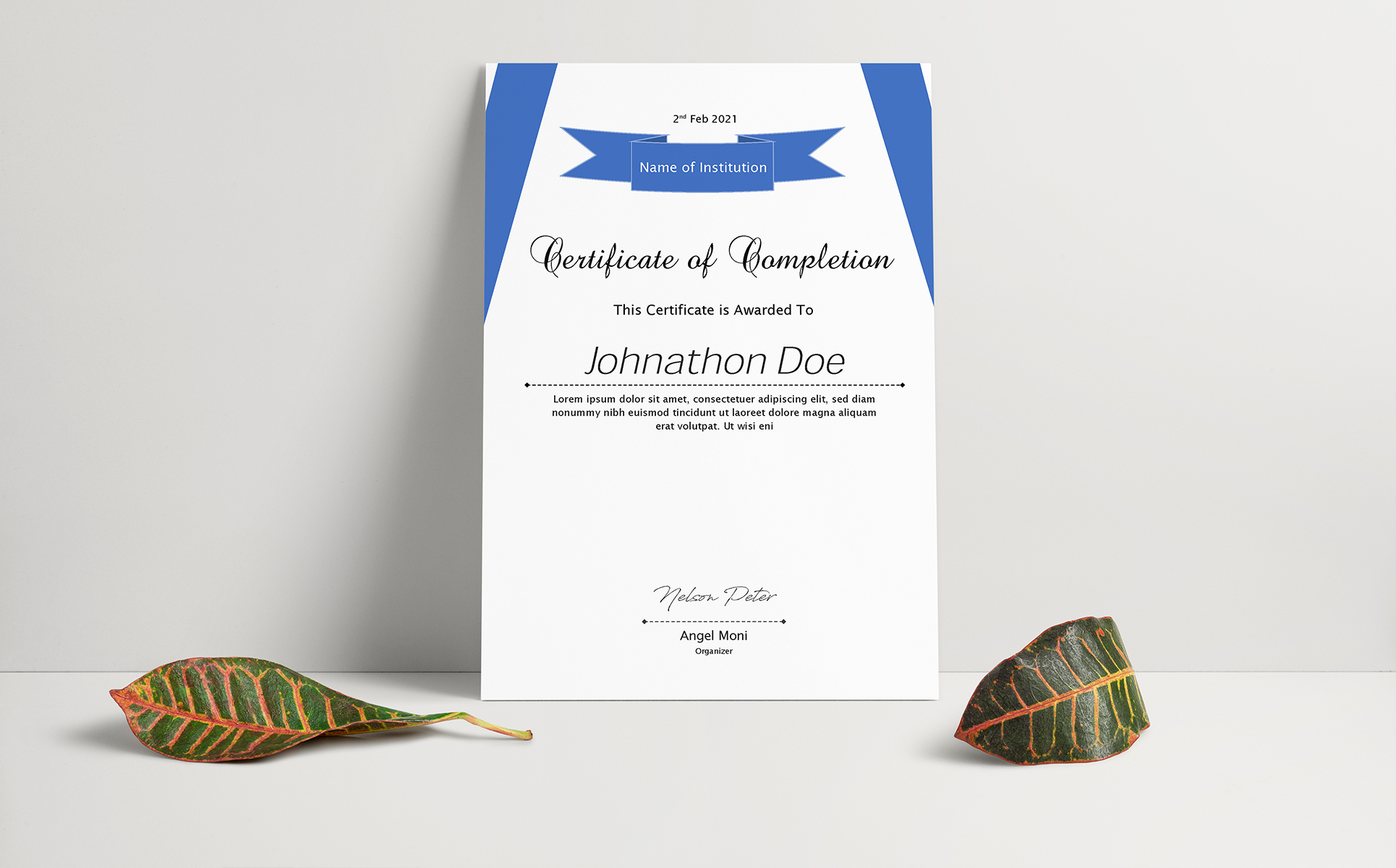 Download Шаблон сертификата "Nelson Peter Certificate Template" / Nelson Peter Certificate Template - Шаблон сертификата на тему графика achievement,acknowledgement,appraisal appreciation,award,certificate template,certificate word,certification,corporate,corporate certificate,rewards,ms word,diploma,employee,employee certific