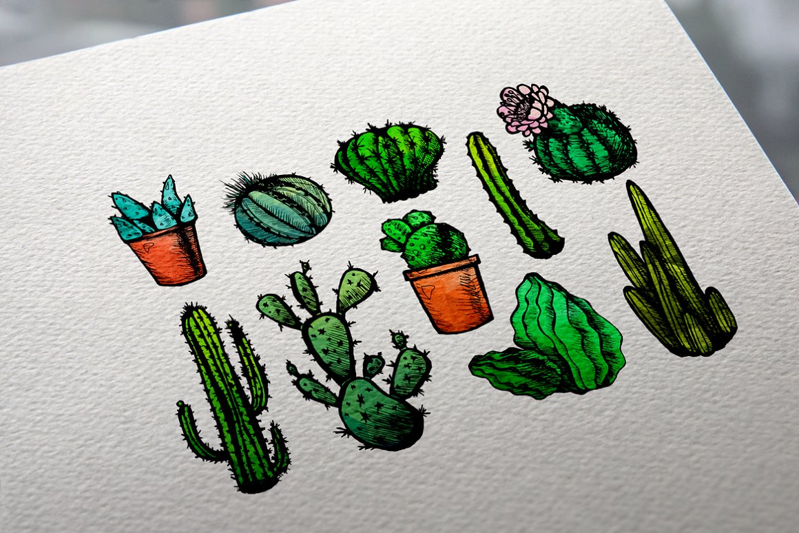 Download Иллюстрация "10 Hand Drawn Сactuses - Illustration" / 10 Hand Drawn Сactuses - Illustration - Иллюстрация на тему графика cactus,sketch,drawn,hand,flower,plant,green,blossoming,leaf,thorn,aloe,doodle,bush,spiked,amigos,vector,floral,mexican,cacti,eco