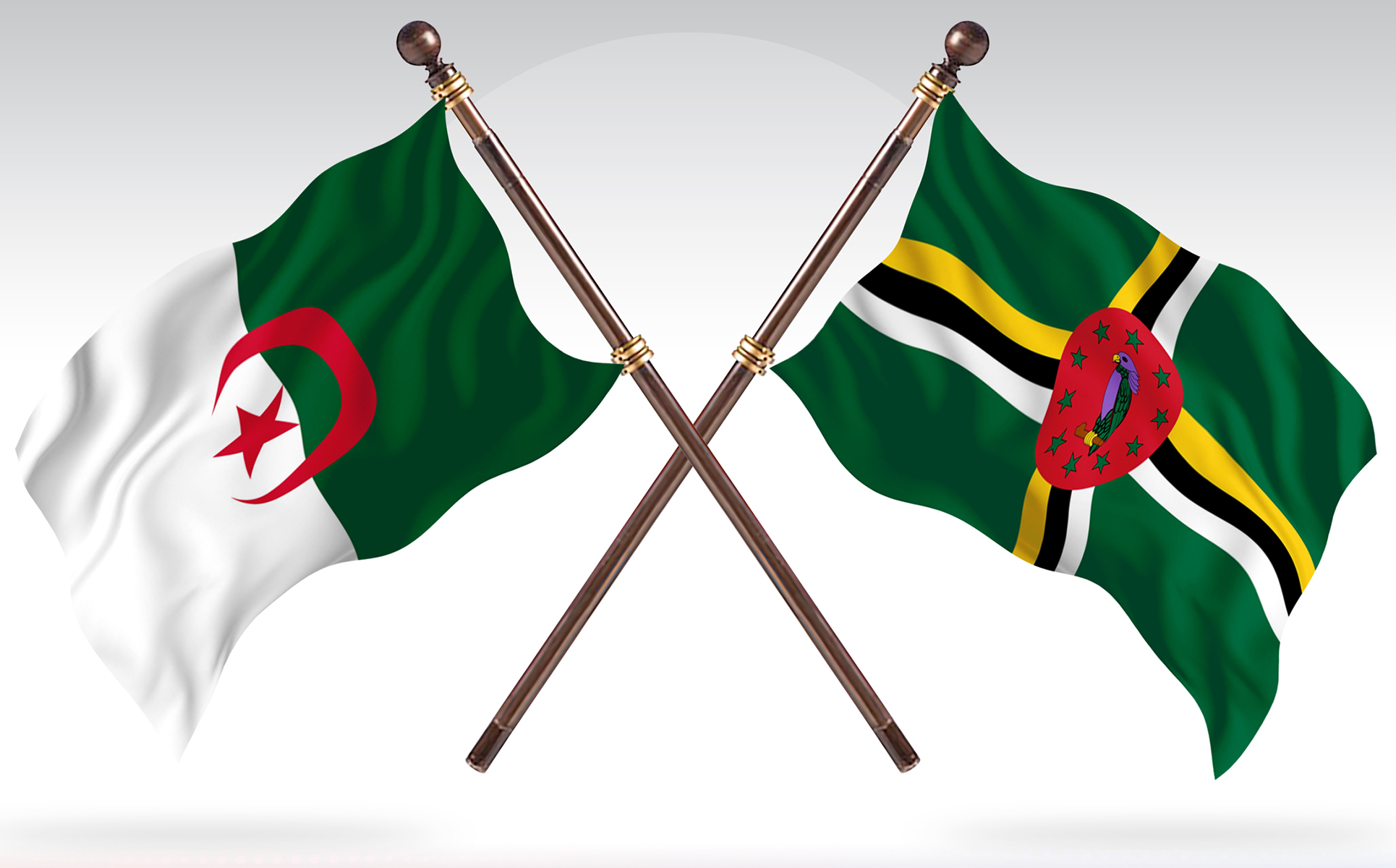Download Иллюстрация "Algeria versus Dominica Two Countries Flags - Illustration" / Algeria versus Dominica Two Countries Flags - Illustration - Иллюстрация на тему графика national,patriotic,europe,asia,republic,map,flag,country,cartography,geography,nation,illustration,graphic,vector,state,world,isolated,symbol,border,icon