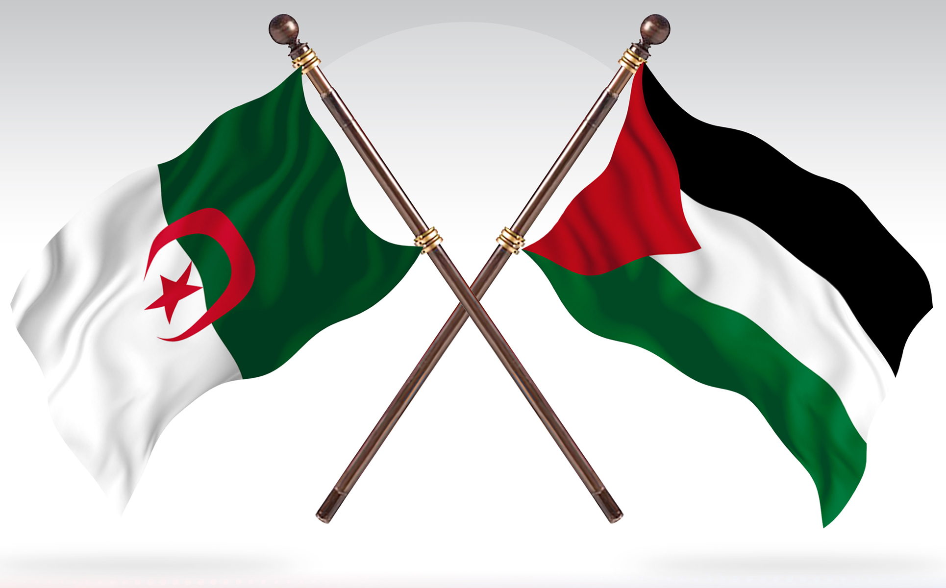 Download Иллюстрация "Algeria versus Palestinian Two Countries Flags - Illustration" / Algeria versus Palestinian Two Countries Flags - Illustration - Иллюстрация на тему графика national,patriotic,europe,asia,republic,map,flag,country,cartography,geography,nation,illustration,graphic,vector,state,world,isolated,symbol,border,icon