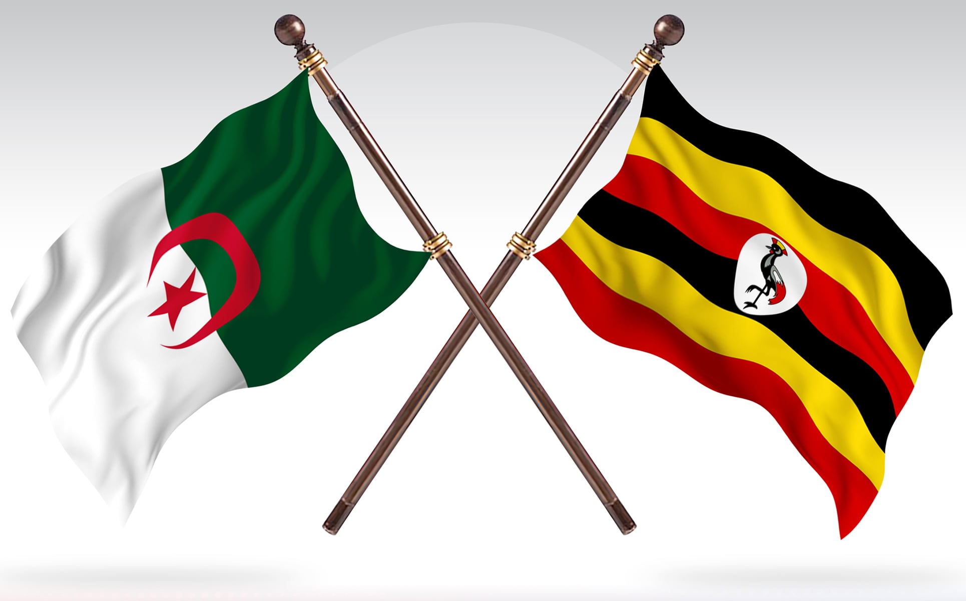 Download Иллюстрация "Algeria versus Uganda Two Countries Flags - Illustration" / Algeria versus Uganda Two Countries Flags - Illustration - Иллюстрация на тему графика national,patriotic,europe,asia,republic,map,flag,country,cartography,geography,nation,illustration,graphic,vector,state,world,isolated,symbol,border,icon