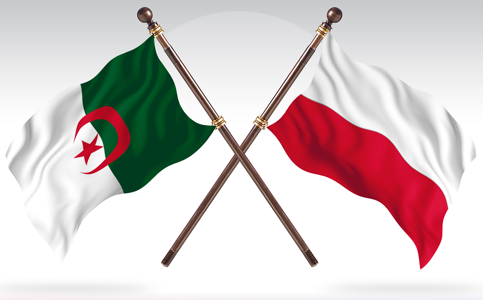 Download Иллюстрация "Algeria versus Poland Two Countries Flags - Illustration" / Algeria versus Poland Two Countries Flags - Illustration - Иллюстрация на тему графика national,patriotic,europe,asia,republic,map,flag,country,cartography,geography,nation,illustration,graphic,vector,state,world,isolated,symbol,border,icon