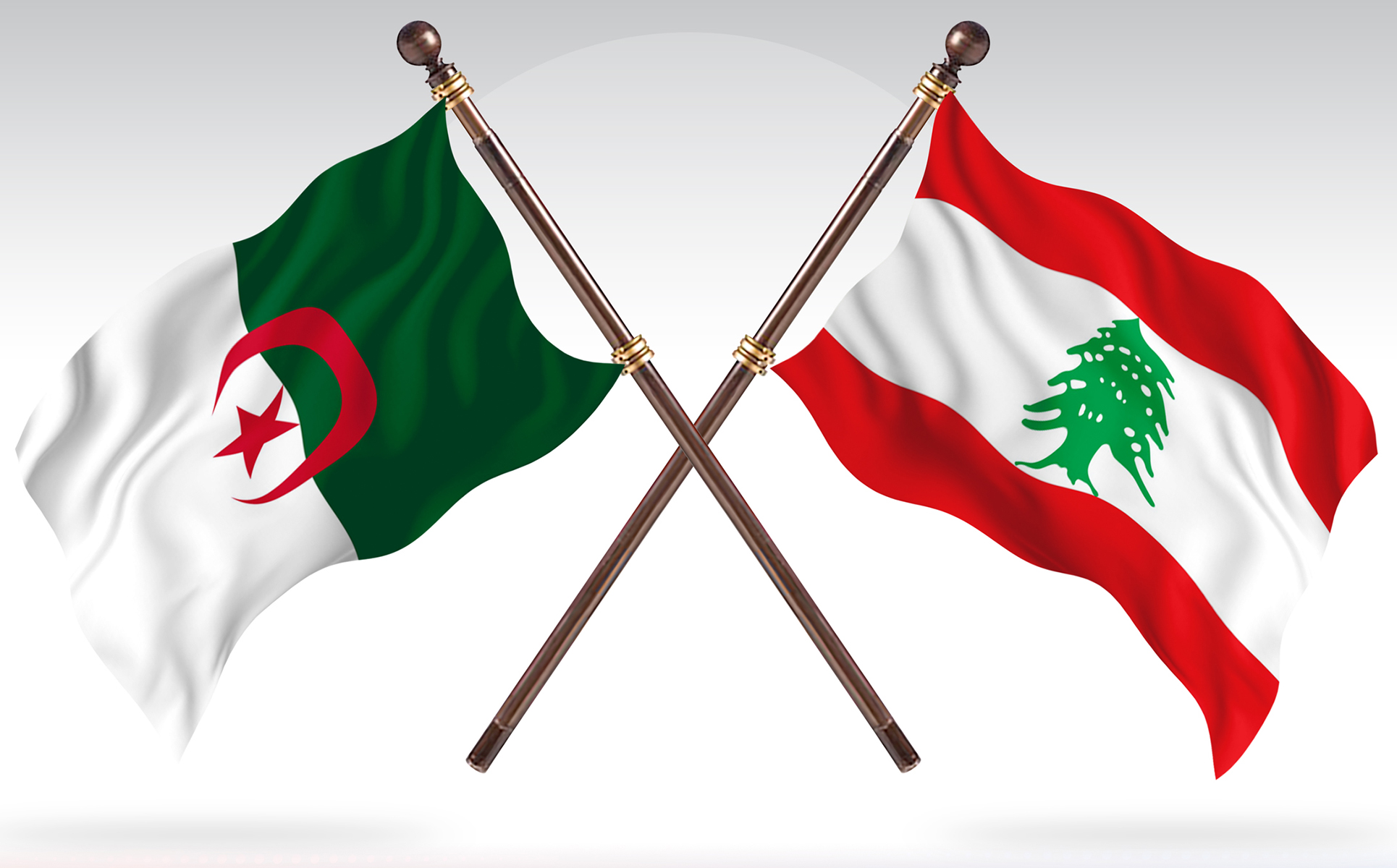 Download Иллюстрация "Albania versus Lebanon Two Countries Flags - Illustration" / Albania versus Lebanon Two Countries Flags - Illustration - Иллюстрация на тему графика national,patriotic,europe,asia,republic,map,flag,country,cartography,geography,nation,illustration,graphic,vector,state,world,isolated,symbol,border,icon