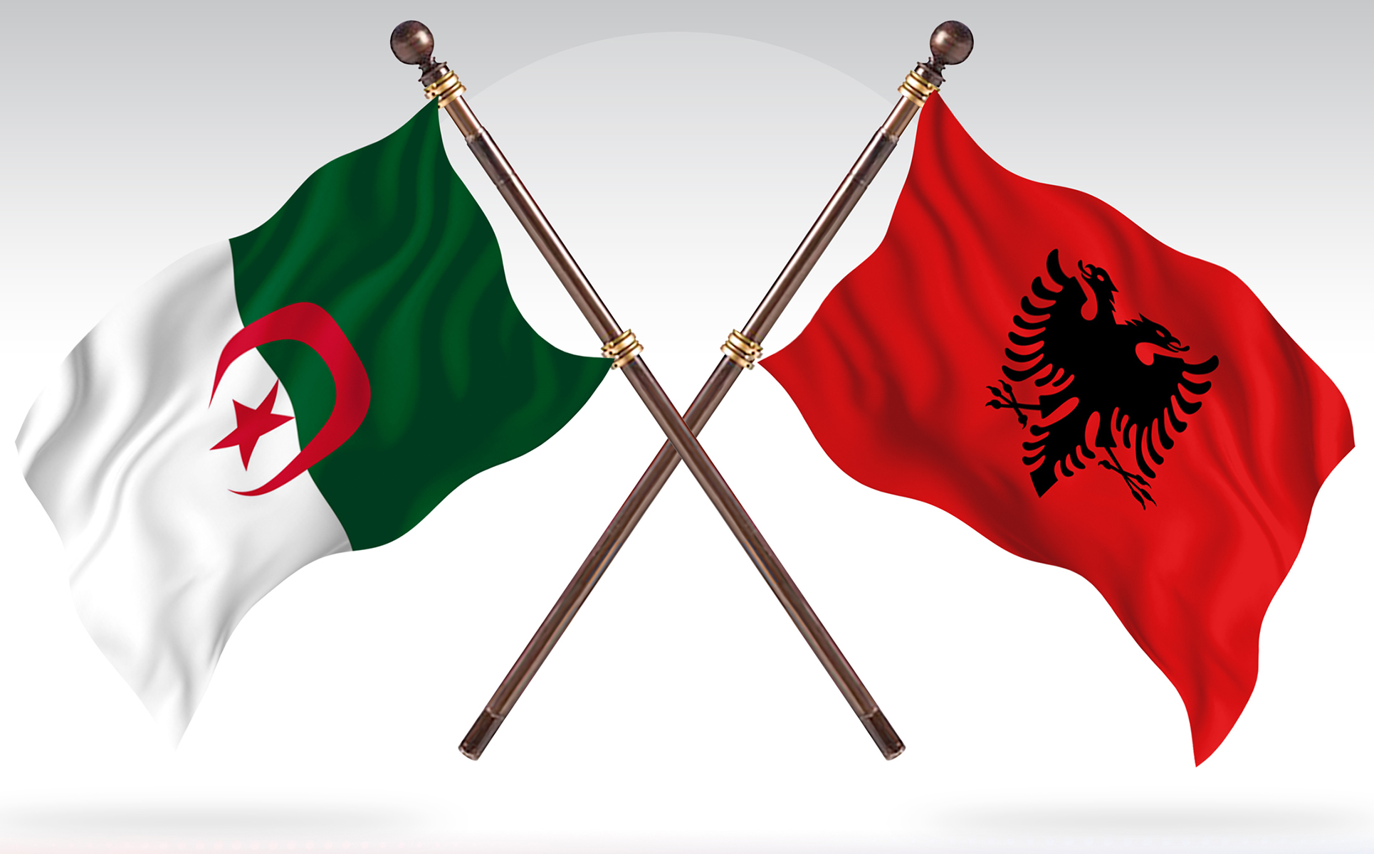 Download Иллюстрация "Algeria versus Albania Two Countries Flags - Illustration" / Algeria versus Albania Two Countries Flags - Illustration - Иллюстрация на тему графика national,patriotic,europe,asia,republic,map,flag,country,cartography,geography,nation,illustration,graphic,vector,state,world,isolated,symbol,border,icon